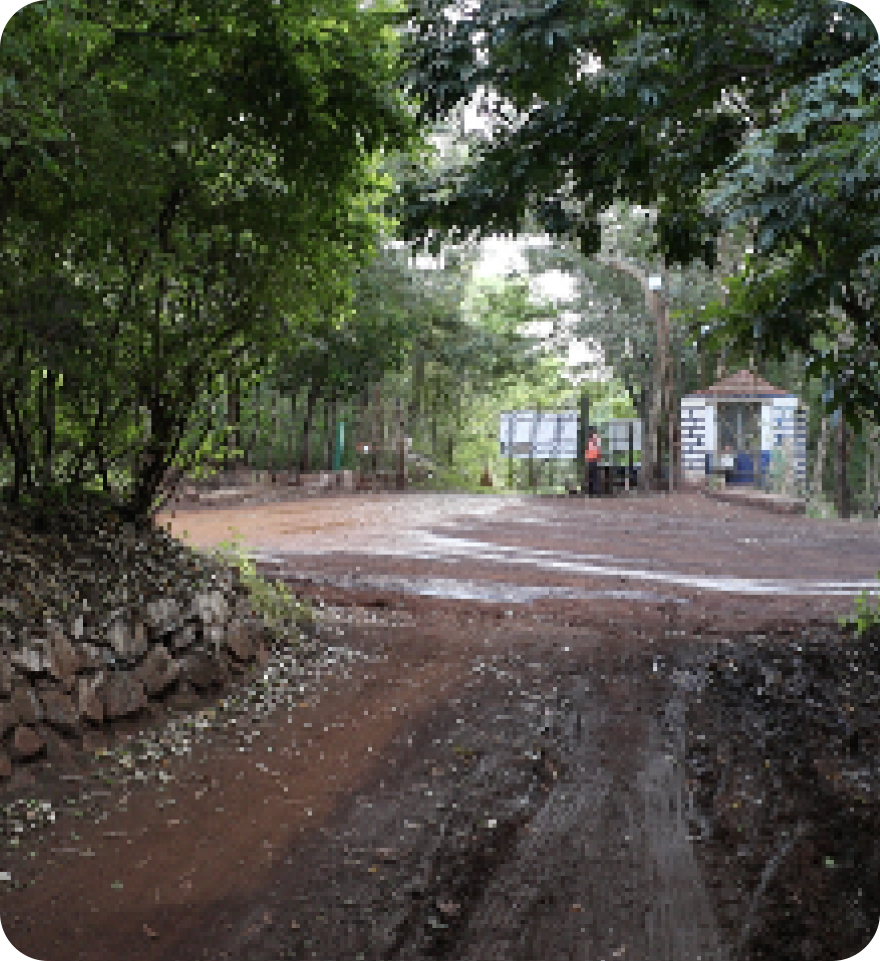 A dirt road surrounded by trees leading to a small entrance gate