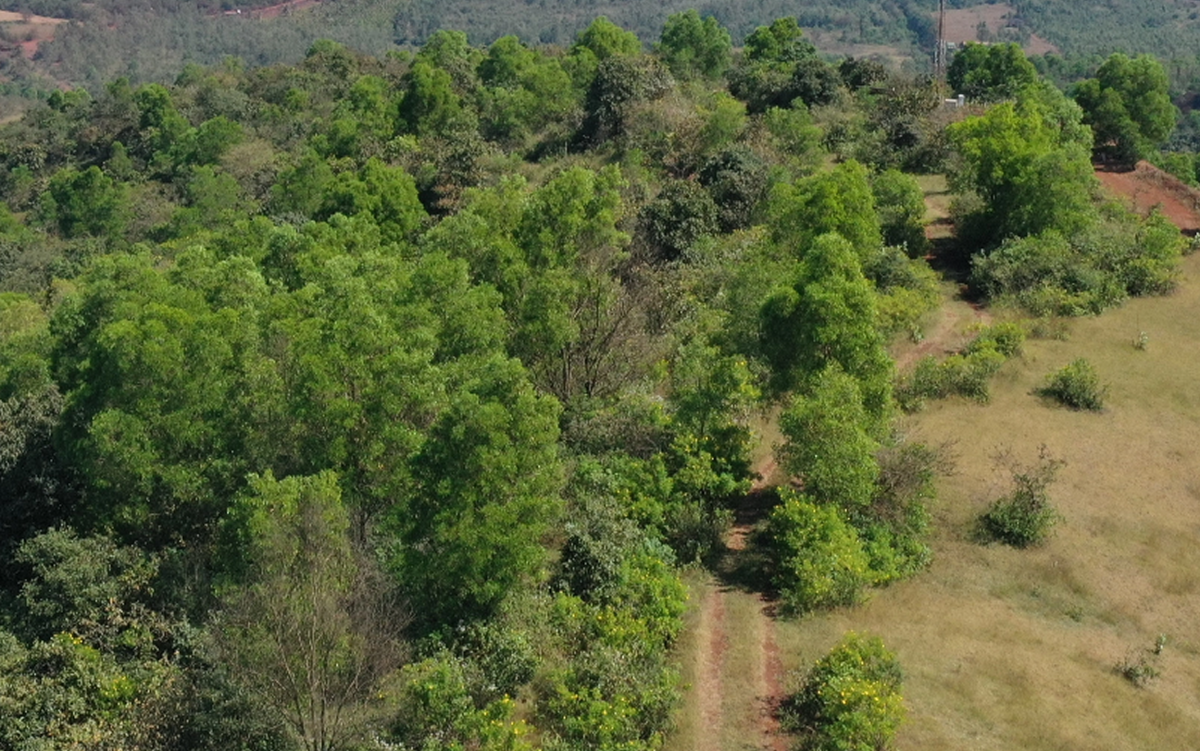 Aerial view of a lush green hill with a dirt path
